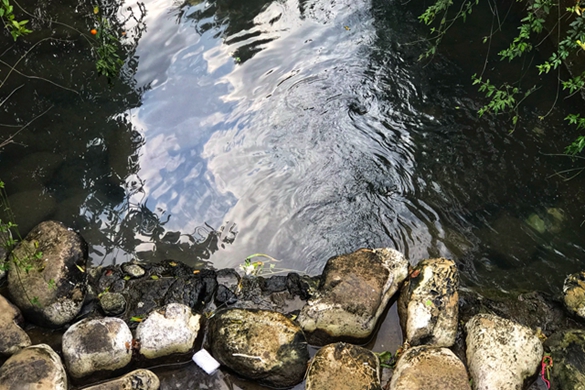 广东实现市级行业工联会和行业团工委全覆盖