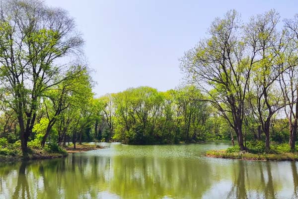 2026年全国邮政管理系统党风廉政建设工作会议召开