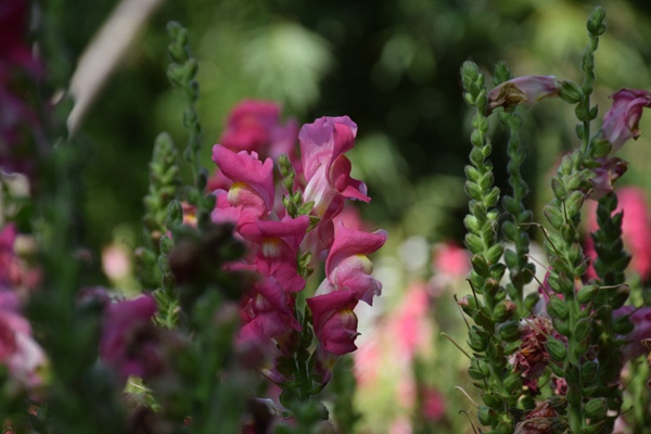 各省区市局学习习近平总书记看望慰问基层干部群众时的重要讲话精神
