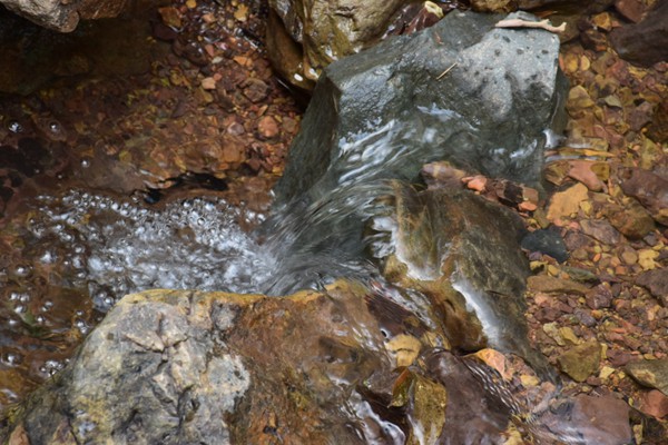 海南局召开共助交通强国邮政篇和自贸港建设主题座谈会