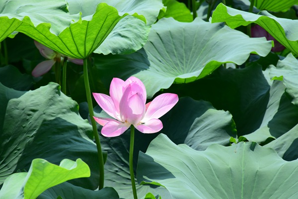 行业发展多项内容被纳入云南“十五五”规划纲要