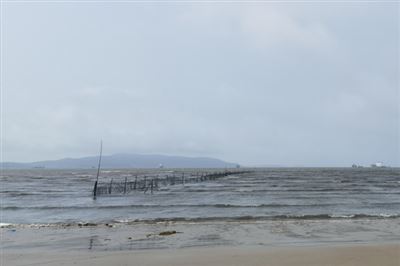 皮革防水：短支链氟醇的研究现状